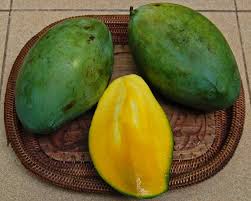 Namun, di luar negeri ternyata ada beberapa jenis mangga populer yang mungkin tidak bisa kita temukan di indonesia. 9 Jenis Mangga Yang Paling Enak Makan Satu Buah Mana Cukup