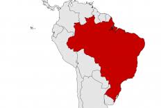 1641 menschen sind nach daten des gesundheitsministeriums vom dienstag (ortszeit). Brasilien Amerika21