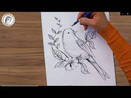 how to draw a bird with pencil كيف أرسم عصفور بقلم الرصاص youtube drawing for beginners pencil drawings dreamcatcher tattoo
