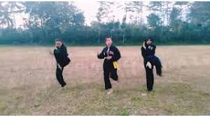 Terima kasih telah berkunjung ke blog info terkait gambar 2020. Jurus Silat 1a 1b Youtube