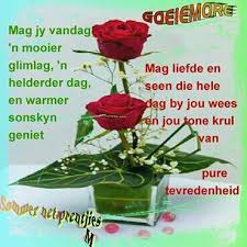Goeie More Vriendin Goeie More Good Morning Wishes Evening Greetings