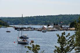 Image result for Hubbardochloa