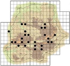 Image result for Clutia pulchella