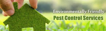 The official worlds for pest control are worlds 53, 69 ( p2p ). Pest Control Services Pest Termite Control Weebly Blog Blog