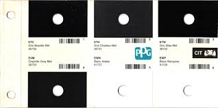 Image result for Gris Haria 2011 Citroen