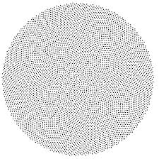 The Fibonacci Numbers And Golden Section In Nature 1