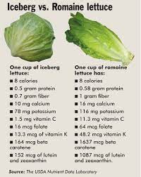How many calories are in romaine lettuce? Iceberg Vs Romaine Lettuce Lettuce Benefits Lettuce Nutrition Health And Nutrition
