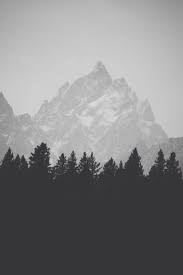 Mountain Top Behind Pine Forest Black And White Iphone 6 Hd Wallpaper Hd Free Download Iphonewalls