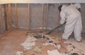 Mold in a basement is almost always from moisture. Mold In Basement