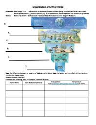 Download and print the worksheets to do puzzles, quizzes and lots of other fun activities in english. Organization Of Living Things Worksheet Ecosystems Social Studies Worksheets For Kids Ecology Bozeman Science Worksheets Worksheet Math Mammoth Blue Series Business Arithmetic As Mathematics Adding Money Worksheets Ks1 Kumon Preschool Books Best