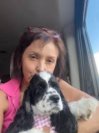 Riverside cocker spaniels