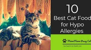 Best Cat Food For Allergies Best Cat Food Dry Cat Food Hypoallergenic Cat Food