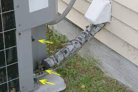 How Do I Know If I Have A Heat Pump Blue Palmetto Home Inspection