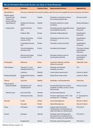 Pin By Sheena Sangan On Med School Charts Endocrine