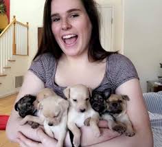 Learn more about pets in need in palo alto, ca, and search the available pets they have up for adoption on petfinder. Mutt S Pizza Theft Leads To Rescue Of Pups In East Palo Alto News Palo Alto Online