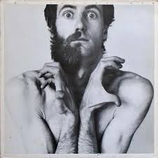 PETER HAMMILL THE Future Now vinyl LP 1978 VG+/VG+ Original Charisma  w/insert EUR 12,97