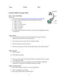 Follow the steps given in the gizmo to construct a molecule of dna. Mutations In Dna Molecules Can Occur When