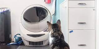 Carbon monoxide (co) is the number one cause of poisoning deaths in the u.s. Best Automatic Cat Litter Box Reviews By Wirecutter