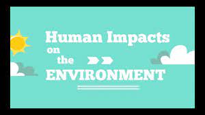 The environment impacts on people's human rights both positively and negatively. Human Impacts On The Environment Youtube