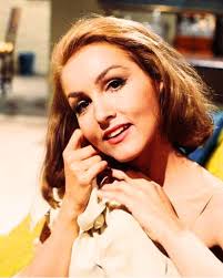 My Living Doll 1964-1965 TV Show Review