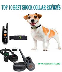 Best Dog Shock Collar Reviews With Remote Dog Shock Collar Shock Collar Dog Training Collar