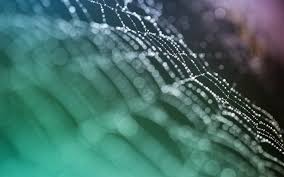 Use picsart's background changer to change backgrounds of your photo instantly. Wallpaper Ice Underwater Dew Biology Web Wave Drops Close Up Macro Photography 2560x1600 4kwallpaper 600324 Hd Wallpapers Wallhere