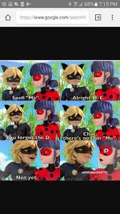 More Funny Memes Miraculous Amino