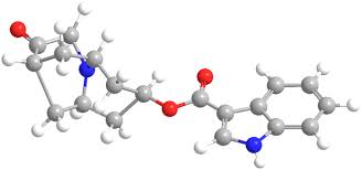 Image result for Dolasetron