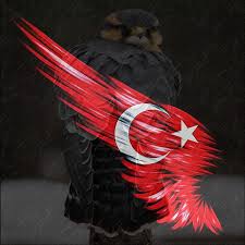 Resim, türkler, bayrak hakkında daha fazla fikir görün. Bi Dunya Resim Adli Kullanicinin Turkiye Bayrak Panosundaki Pin Flamalar Yildiz Dovmeleri Bayrak