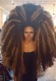 Elven princesses, fairies, warrior queens, and so many other fantasy characters waiting for you to discover them! Some Of The Craziest Hairstyles From The Wade Gordon Academy S Student Fantasy Hair Show