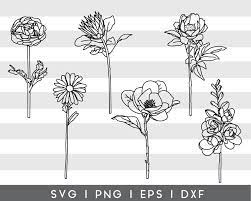 Free Free Drawn Flower Svg SVG PNG EPS DXF File