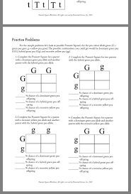 Draw a punnett square, list the ratio and describe the offspring. Pin By Lmo On School Biology Worksheet Practices Worksheets Word Problem Worksheets