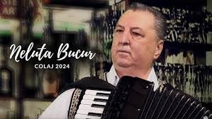 Daniela Crisan's Instagram, Twitter & Facebook