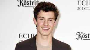 Shawn Mendes FALLS Onstage & Instantly Becomes a Meme