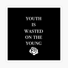 Youth Is Wasted On The Young Poster By Kiamccormick Redbubble