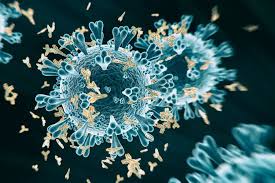 New Saliva Based Antibody Test For Sars Cov 2 Highly Accurate In Initial Study Hub