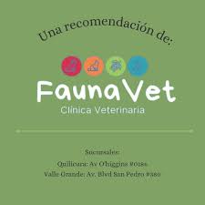 Clínica Veterinaria Fauna Vet Quilicura