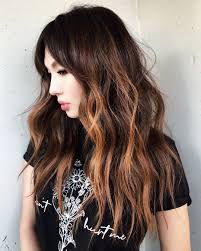You will find there are plenty of color or you can also make a full use of the different hues of one color that are just darker or brighter than browse through these stylish hair highlights ideas and make your black hair glamorous with them. 30 Ideas Of Black Hair With Highlights To Rock In 2020 Hair Adviser