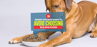 Maybe you would like to learn more about one of these? 15 Ways To Avoid Choosing Bad Dog Food Brands