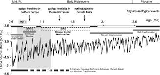 early pleistocene siliceous member