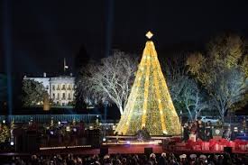 2015 White House Christmas In Pictures White House Christmas White House Christmas Tree National Christmas Tree