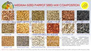 Medium Sized Parrot Seed Mix Composition Seeds Parrot Food Recipe Parrot