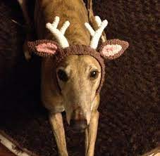 Deer Antlers Made To Order Snood Hat For Dogs By Greybabycrochet 16 50 Crochet Dog Crochet Deer Dog Hat