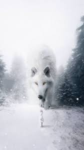 White wolf wallpapers we have about (282) wallpapers in (1/10) pages. White Wolf Wallpaper Posted By Ryan Johnson