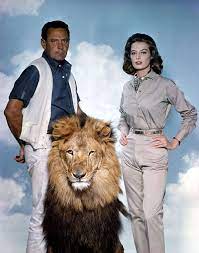 The Lion 1962 American Actors Lion Movie French Actress