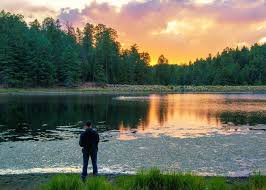 Joke's on them because we actually have a large number of lakes for fishing, boating, and any other water activity you can imagine. Best Fishing Locations In Arizona Rim Country Sedona More