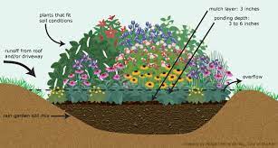 Check spelling or type a new query. Rain Gardens Durham Nc