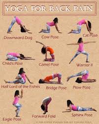 Pin On Yoga For Back Pain