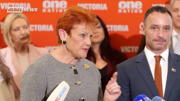 🚨 Pauline Hanson DESTROYS 'journalist' furious over ABC ban, The  establishment media weren't happy after Pauline Hanson suggested Australia  doesn't need the ABC because "Rebel News is here.", Full ...