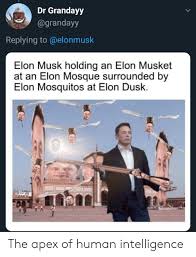 Dr Grandayy Replying To Elon Musk Holding An Elon Musket At An Elon Mosque Surrounded By Elon Mosquitos At Elon Dusk The Apex Of Human Intelligence Apex Meme On Me Me